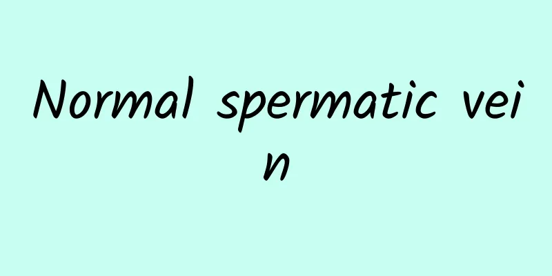 Normal spermatic vein