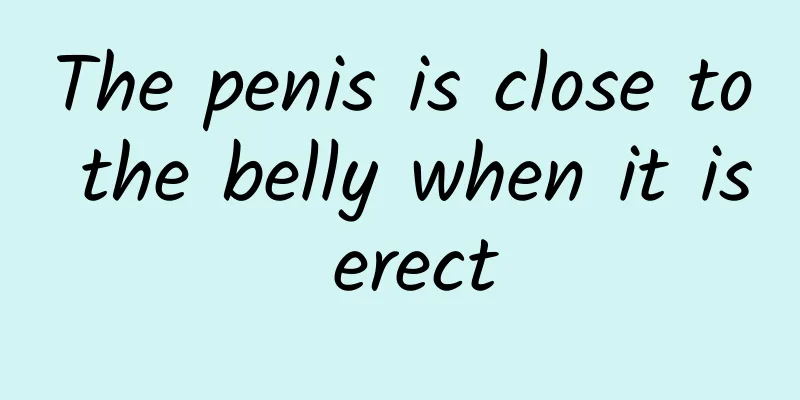 The penis is close to the belly when it is erect