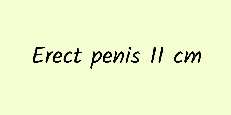 Erect penis 11 cm