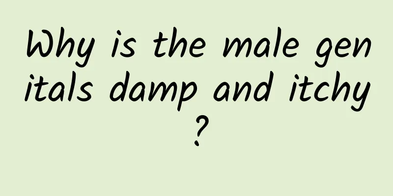Why is the male genitals damp and itchy?