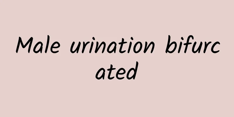 Male urination bifurcated