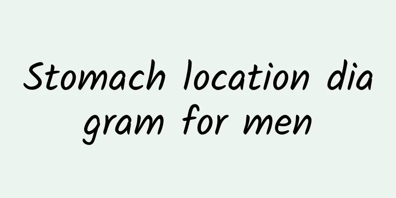 Stomach location diagram for men