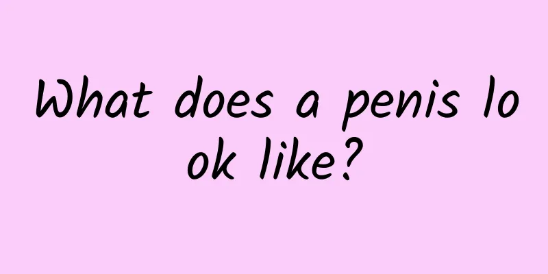 What does a penis look like?
