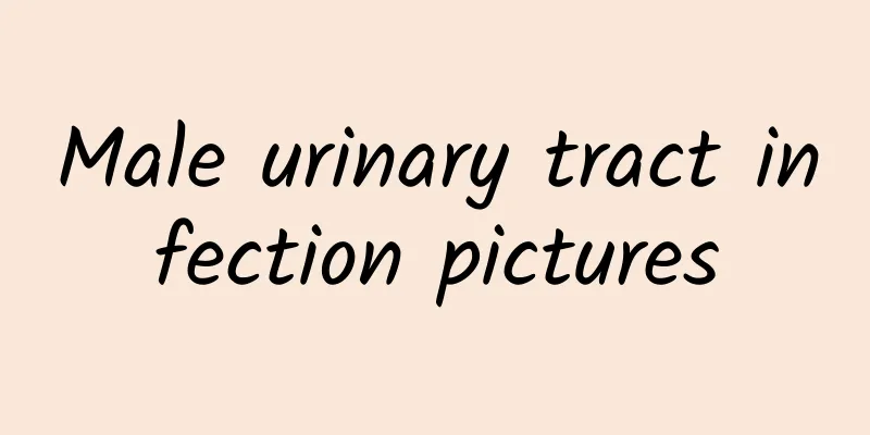 Male urinary tract infection pictures