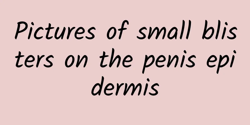 Pictures of small blisters on the penis epidermis