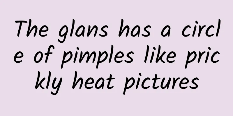 The glans has a circle of pimples like prickly heat pictures