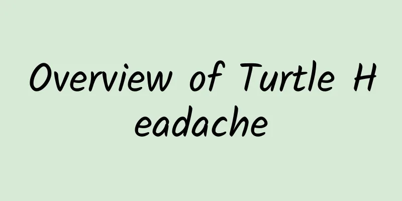 Overview of Turtle Headache