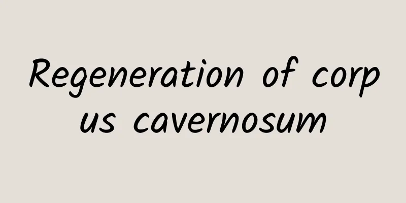Regeneration of corpus cavernosum