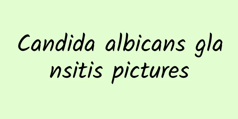Candida albicans glansitis pictures
