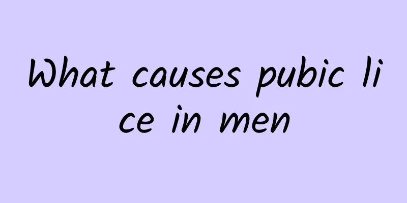 What causes pubic lice in men
