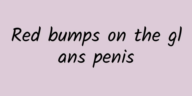 Red bumps on the glans penis