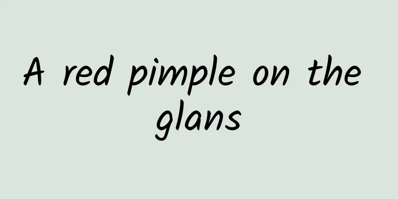 A red pimple on the glans