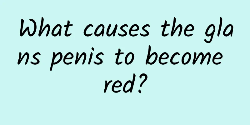 What causes the glans penis to become red?
