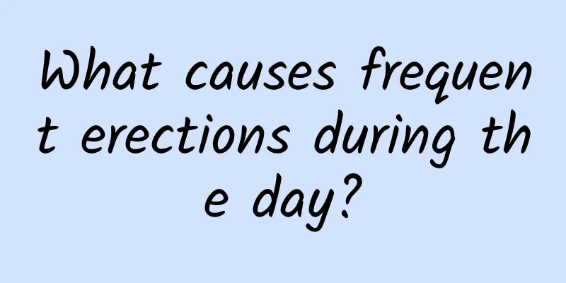 What causes frequent erections during the day?
