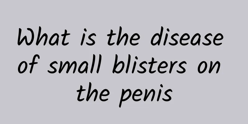 What is the disease of small blisters on the penis