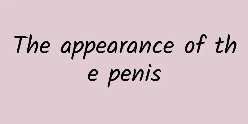 The appearance of the penis