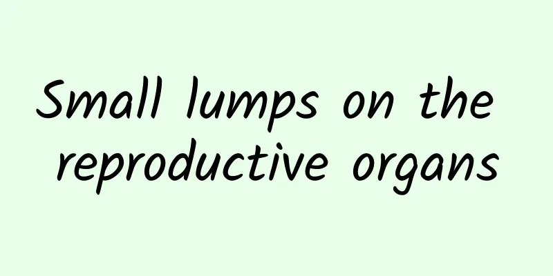 Small lumps on the reproductive organs