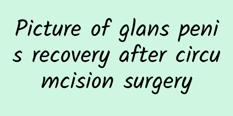 Picture of glans penis recovery after circumcision surgery