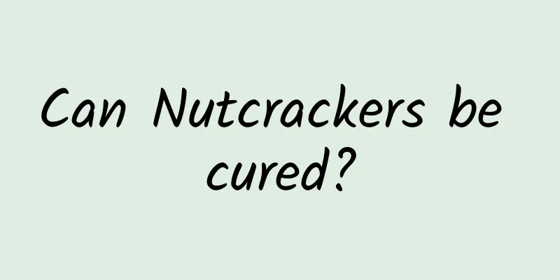 Can Nutcrackers be cured?