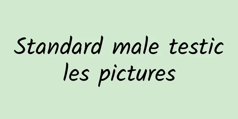 Standard male testicles pictures