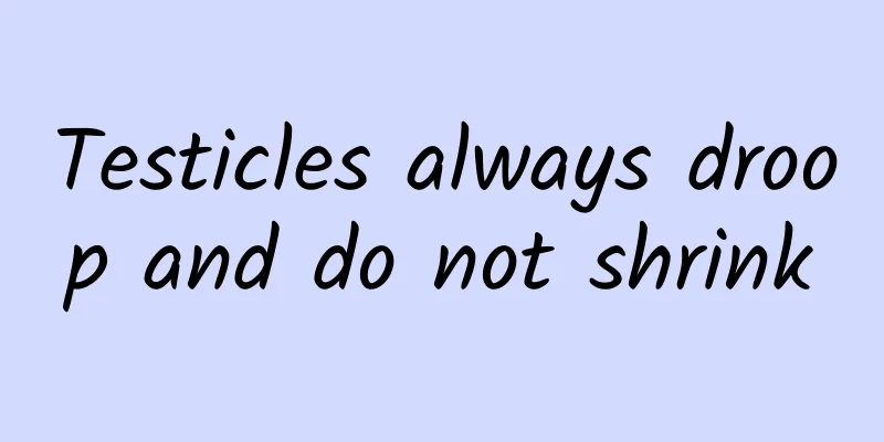 Testicles always droop and do not shrink