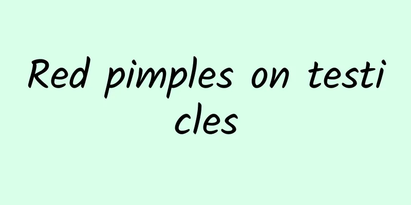 Red pimples on testicles