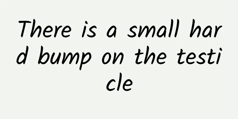 There is a small hard bump on the testicle