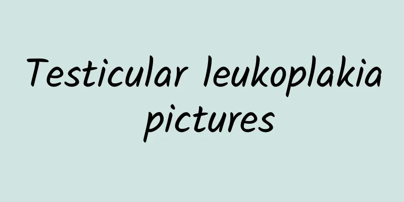Testicular leukoplakia pictures
