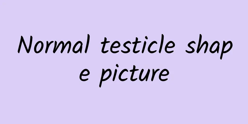 Normal testicle shape picture