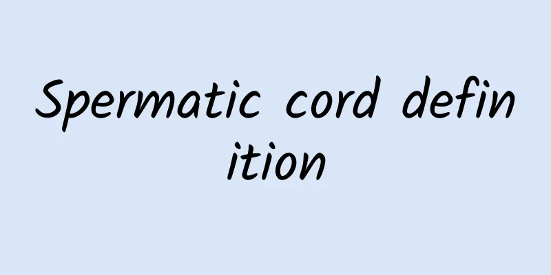 Spermatic cord definition
