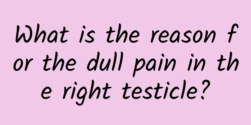 What is the reason for the dull pain in the right testicle?