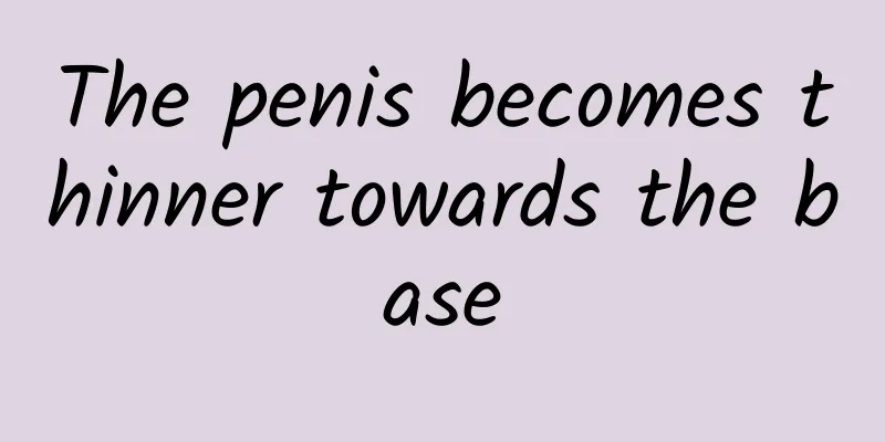 The penis becomes thinner towards the base