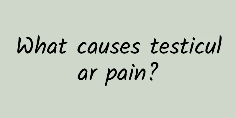 What causes testicular pain?