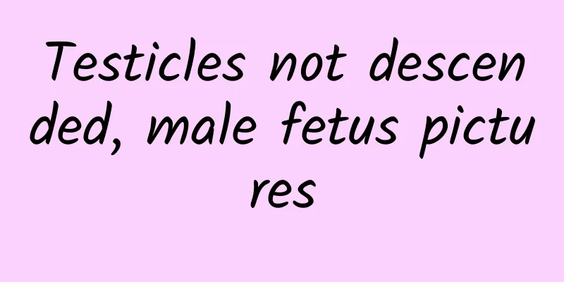 Testicles not descended, male fetus pictures