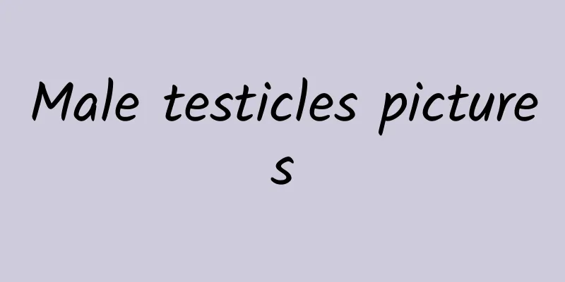 Male testicles pictures