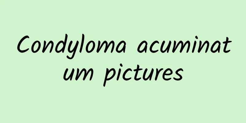 Condyloma acuminatum pictures
