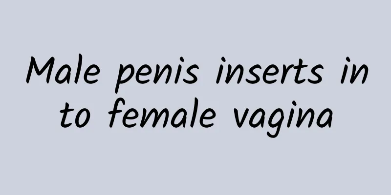 Male penis inserts into female vagina