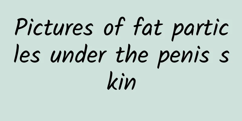 Pictures of fat particles under the penis skin