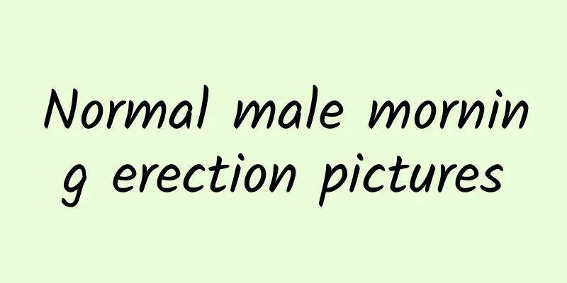Normal male morning erection pictures