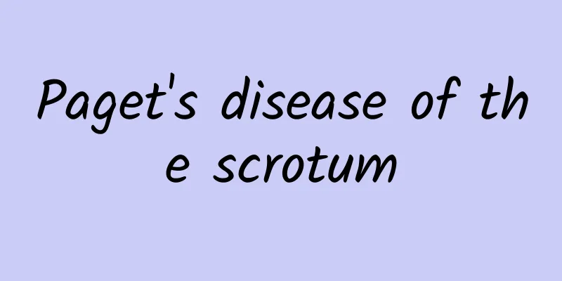 Paget's disease of the scrotum