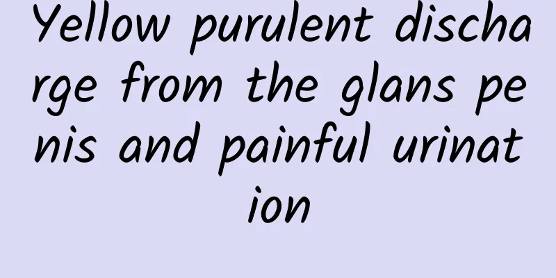 Yellow purulent discharge from the glans penis and painful urination