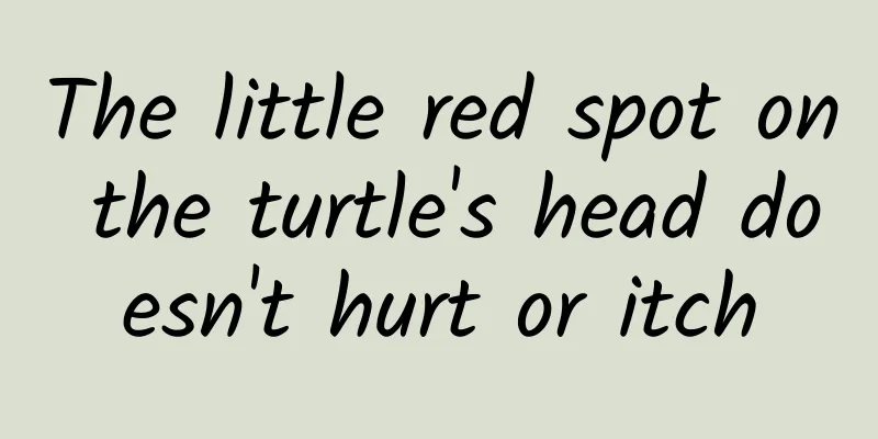 The little red spot on the turtle's head doesn't hurt or itch
