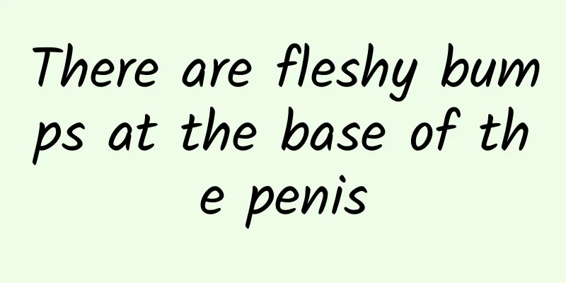 There are fleshy bumps at the base of the penis