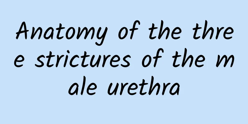Anatomy of the three strictures of the male urethra