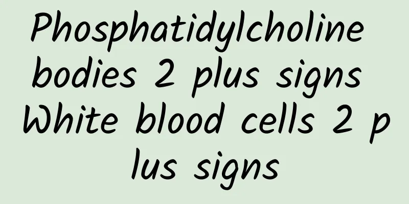 Phosphatidylcholine bodies 2 plus signs White blood cells 2 plus signs