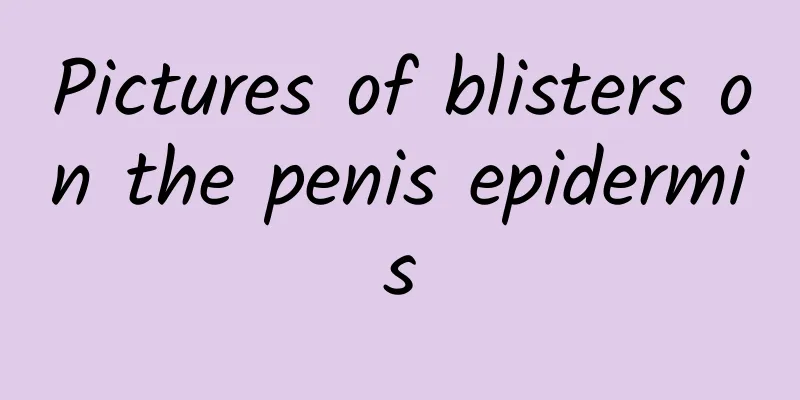 Pictures of blisters on the penis epidermis