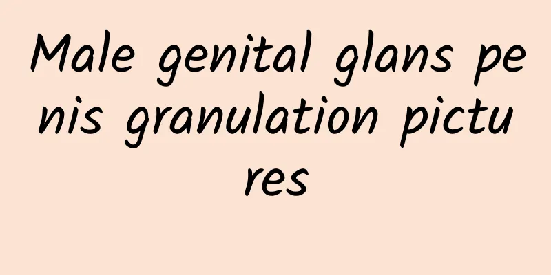 Male genital glans penis granulation pictures