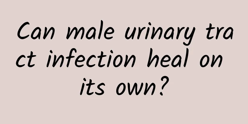 Can male urinary tract infection heal on its own?