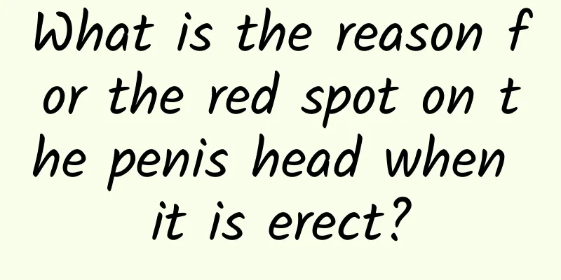 What is the reason for the red spot on the penis head when it is erect?