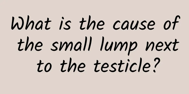 What is the cause of the small lump next to the testicle?